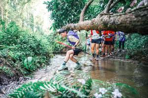 BIB: 
                            <button type="button" onclick="openModal(25476122)" class="btn btn-primary btn-sm float-right btn-popup" data-toggle="modal" data-target=".modal-high-quality">
                        <i class="fas fa-shopping-cart"></i> Add to Cart
                    </button>
                                            <button type="button" onclick="isThisMe(25476122, true)" class="btn btn-success btn-sm float-right btn-popup btn-isme hidden" data-toggle="tooltip" data-placement="bottom" title="นี่คือรูปของคุณใช่ไหม คลิกที่นี่เพื่อเอาเข้าอัลบั้ม">
                        <i class="fas fa-plus"></i> Add to album
                    </button>
                    <button type="button" onclick="isThisMe(25476122, false)" class="btn btn-warning btn-sm float-right btn-popup btn-isnotme hidden">
                        <i class="fas fa-ban"></i> Remove from album
                    </button>